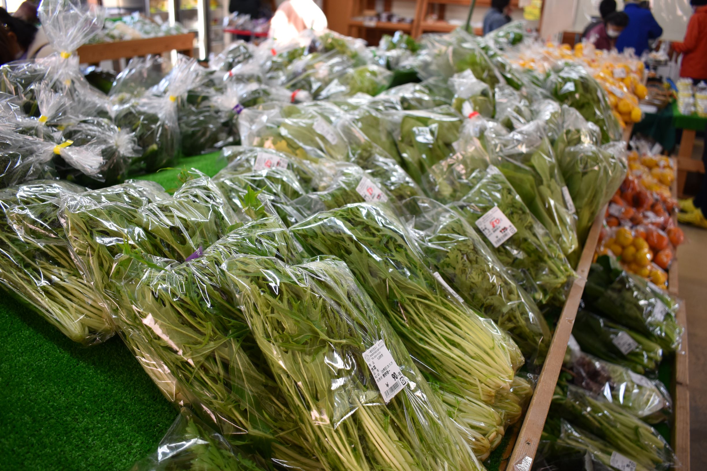季節の新鮮野菜